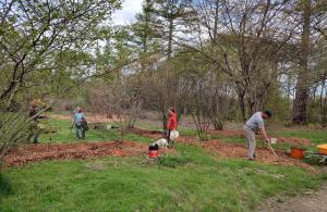 volunteers raking mulch