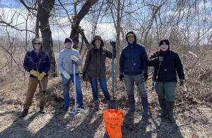 Volunteers removing woody invasive plants