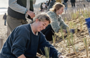 Volunteers planting on the dunes