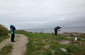 Gulls of Appledore Volunteers