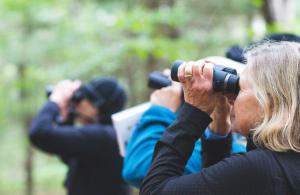 people using binoculars