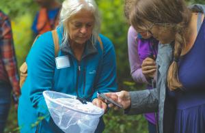 person using photo to take photo of insect