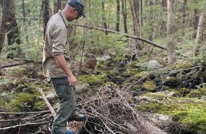 person standing in stream with woody material