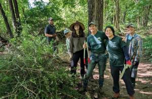 volunteers with invasive plants and tools