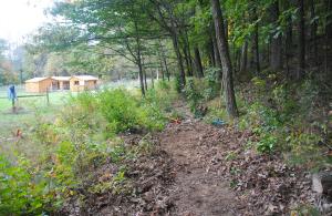 trail next to field
