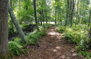 trail along stream