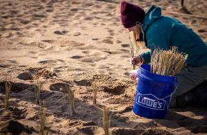Dune volunteer with bucket
