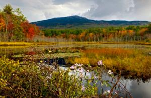mt monadnock in the fall