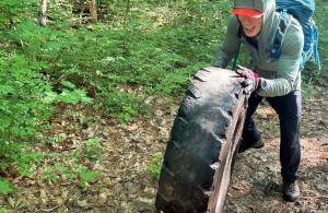 Volunteering moving large tire from forest