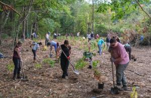 people planting plants