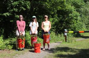Volunteers with buckets of plants