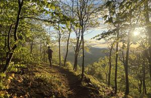 person walking on trail