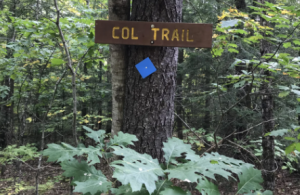 trail sign