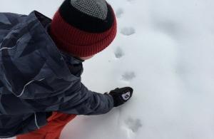 person looking at track