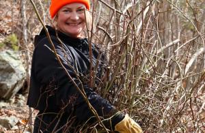 person holding pile of pulled invasive plants