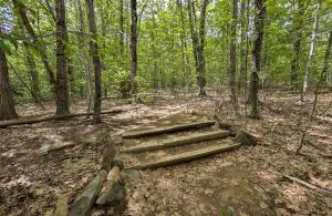 stairs on a trail