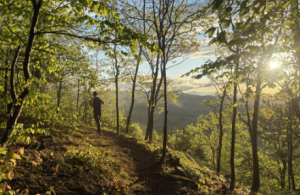 sunny trail