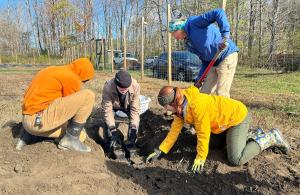 volunteers planting tree