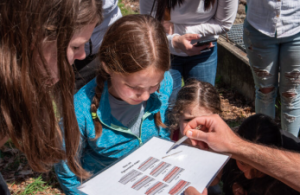 kids looking at samples