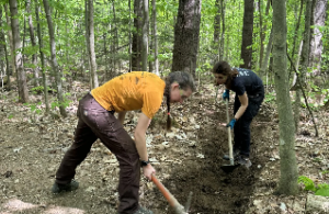 person using tool for trail work