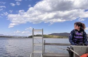 person driving a boat on lake