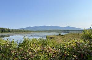 view of mountains across wetland