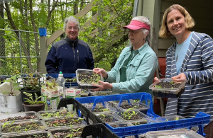 smiling volunteers planting