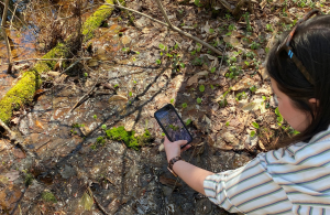 volunteer with iphone outdoors