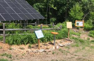 solar panels and gardens
