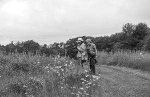people looking at field of wildflowers