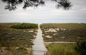 walkway to beach