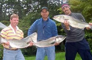 Striper fishermen