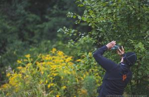 person using phone to identify plant
