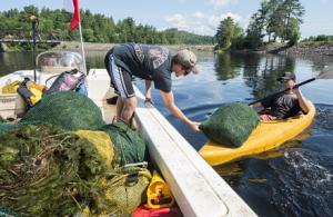 person on boat collecting aquatic invasives