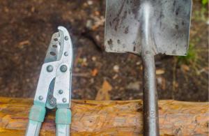 Close up of stewardship tools