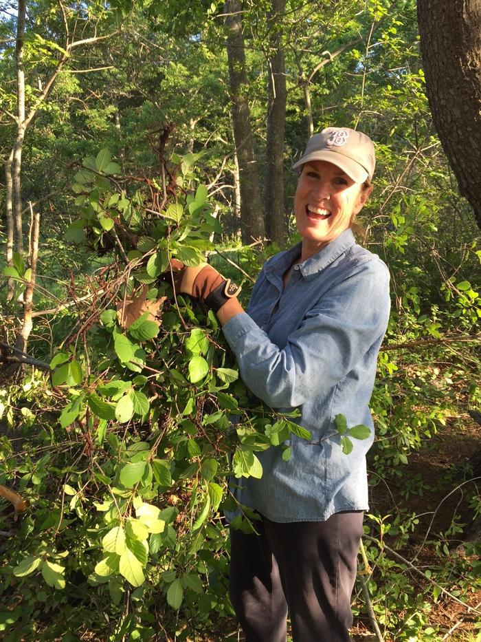 volunteer holding buckthorn