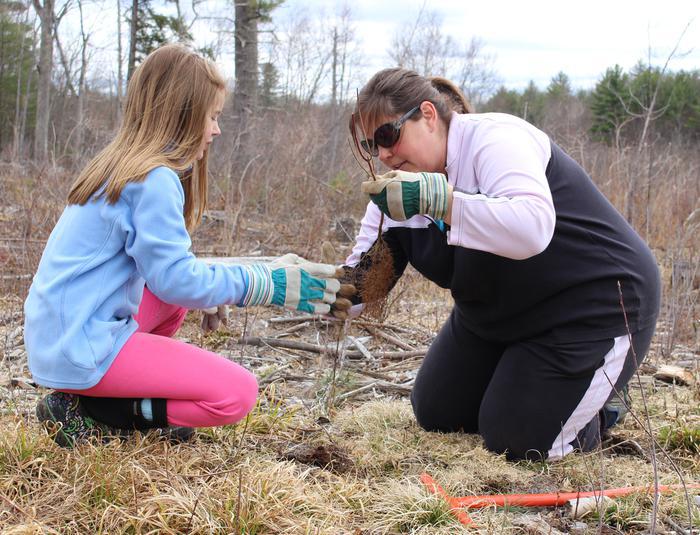 volunteers planting vegetation