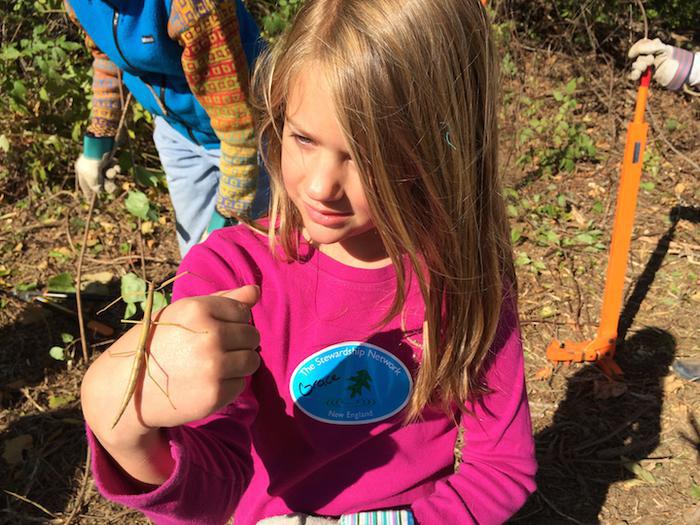 Girl holding walking stick bug