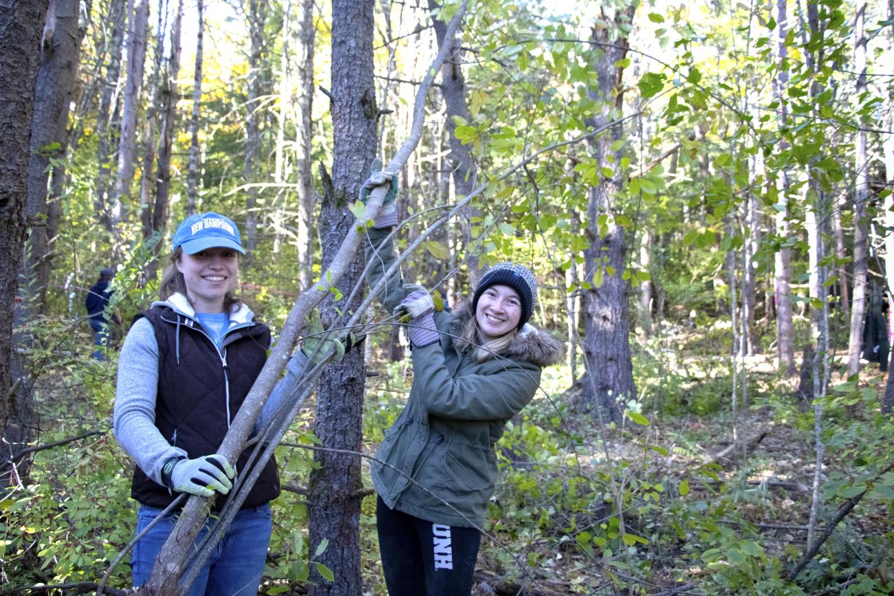 Invasive Plant Removal Volunteers