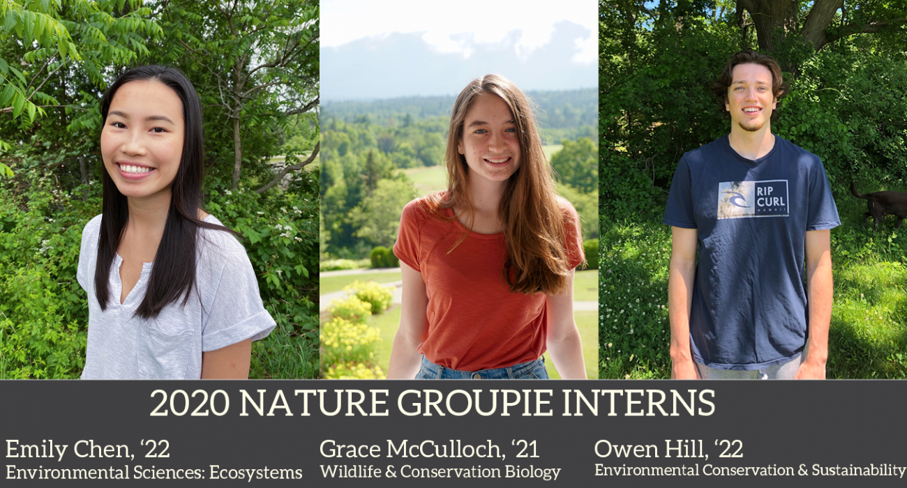 2020 Nature Groupie Interns all together corrected