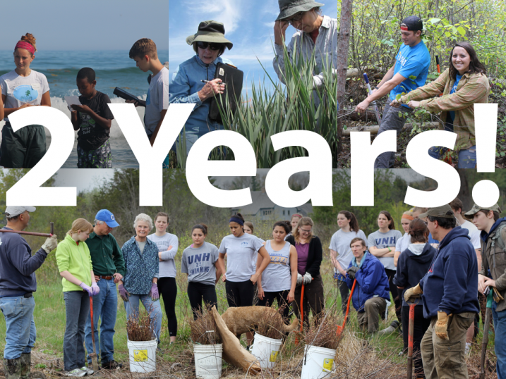 photo collage of volunteers working