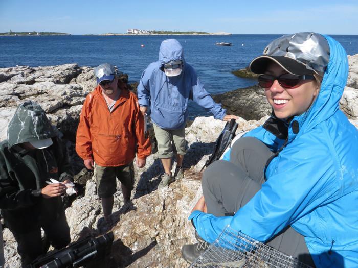 group of volunteers on rocks along the ocean