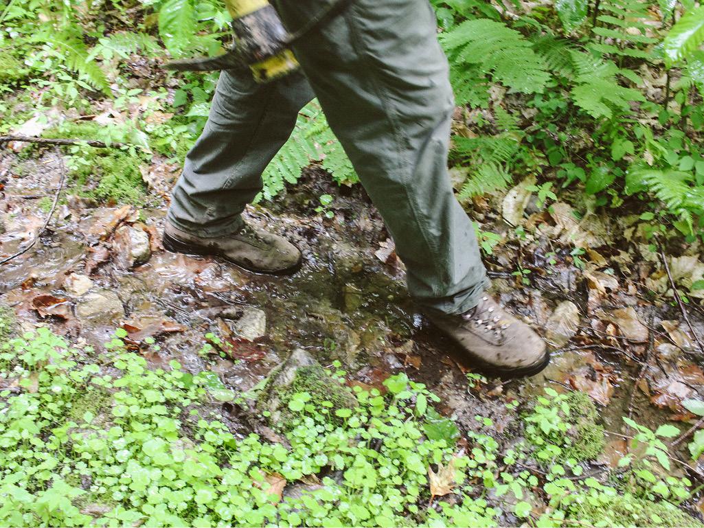 Stewardship Tip: Stop Mud Season from Making your Community Trails a Mess