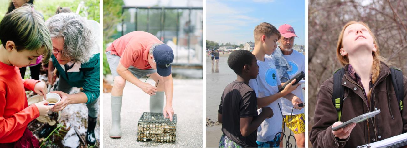 volunteers participating in citizen science