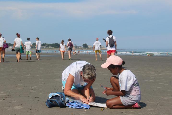 Volunteers collecting samples