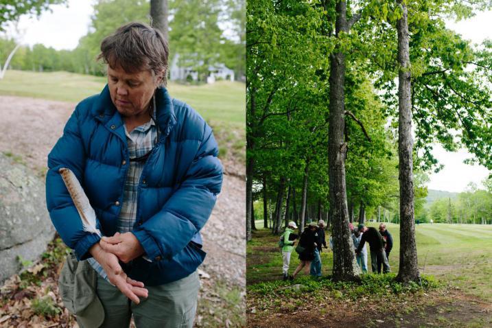 Volunteer Bioblitz Naturalists AWWA