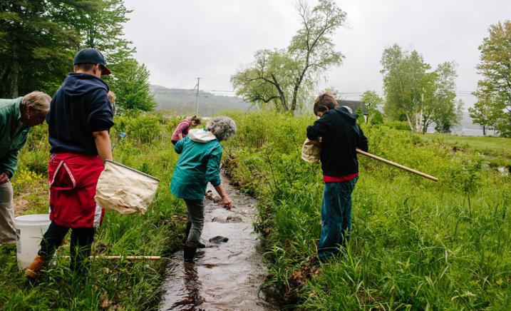 Stream AWWA bioblitz action