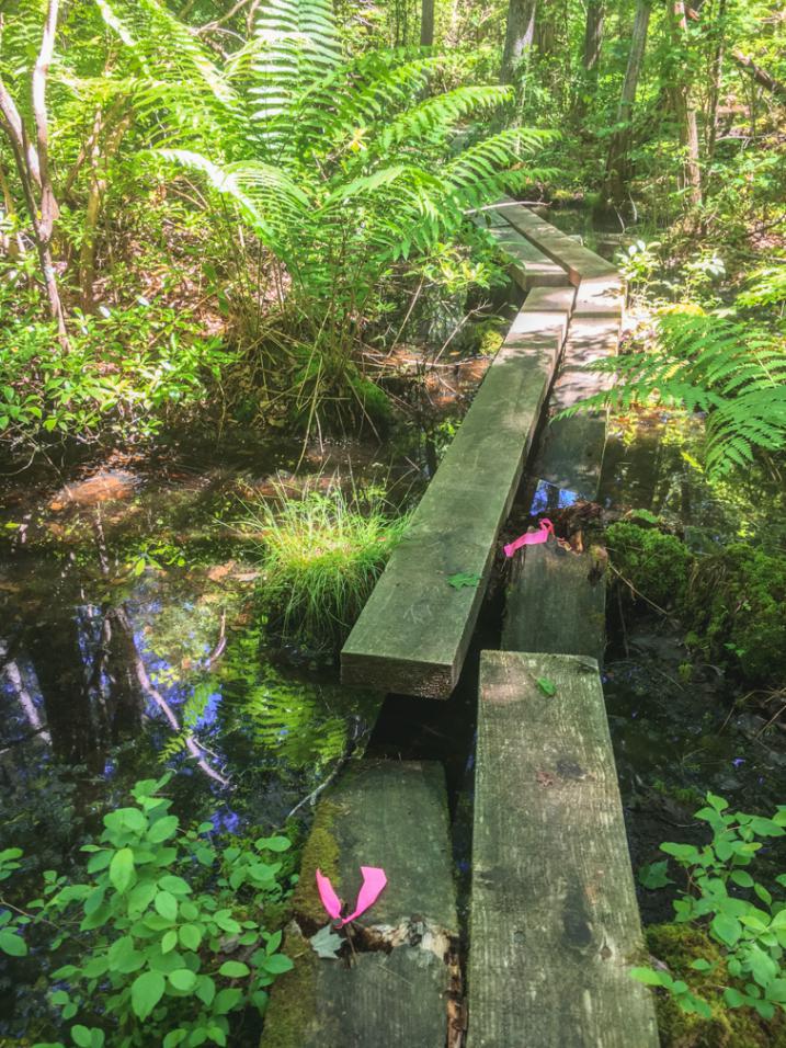 Broken Bog Bridge