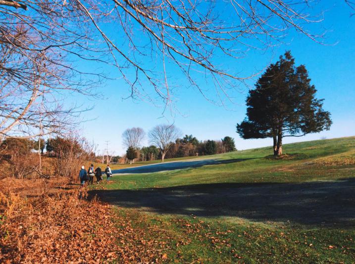 Volunteers walking along fairway