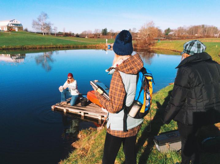 Volunteers collecting data